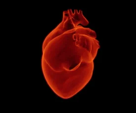 Quais os sintomas de um infarto: aprenda a reconhecer