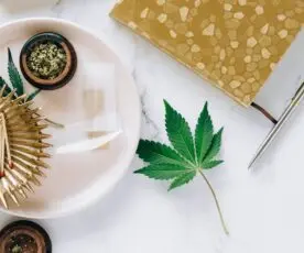 Substancias Quimicas – Guia Rápido