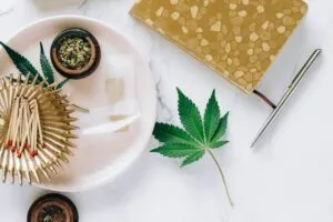 Substancias Quimicas – Guia Rápido