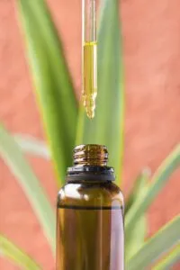 Canabidiol e Epilepsia – Guia Rápido Canabidiol e Epilepsia – Guia Rápido