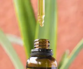 Canabidiol e Epilepsia – Guia Rápido